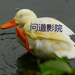 问道影院