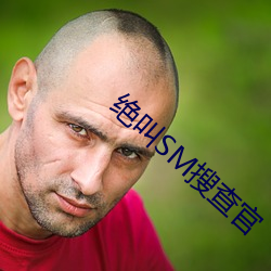 绝叫SM搜查官