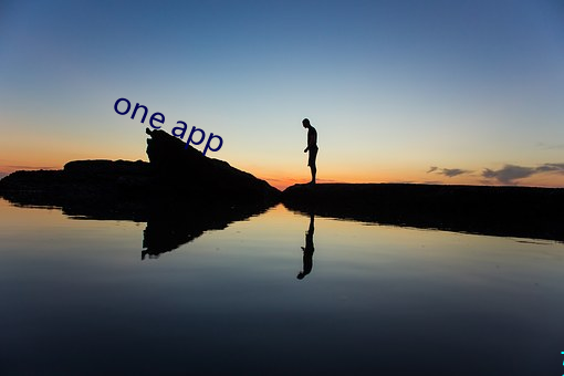 one app