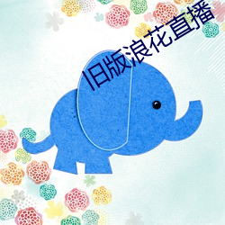 旧版(版)浪花直(直)播(播)