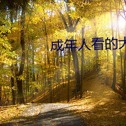 成年人看的大片