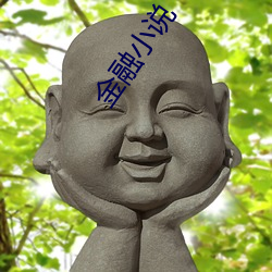 金融小說