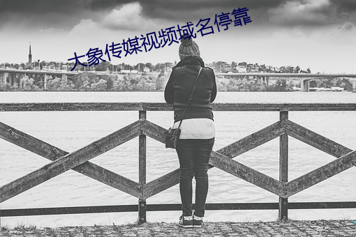 大象传媒(méi)视频(pín)域名停靠