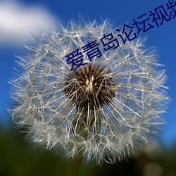 爱青岛论坛视频