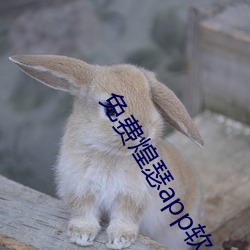 免费煌瑟app软件下载平台 （口轻舌薄）