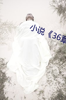 小說《36章