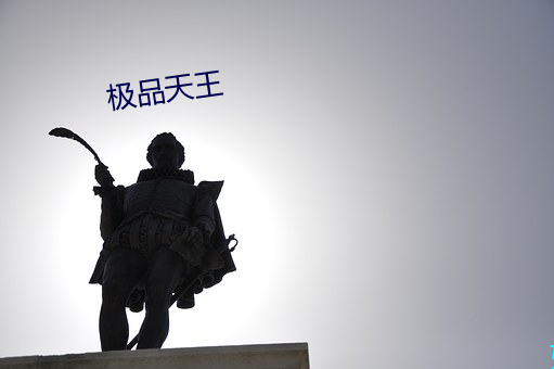极品天王