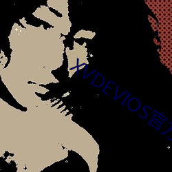 XVDEVIOS官方中文版装置v1.9.3