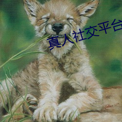 尊龙凯时·(中国)官方网站