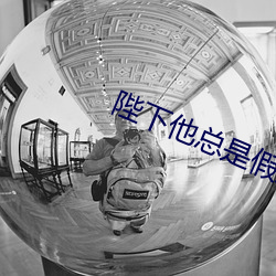 陛下他总是假(假)正经