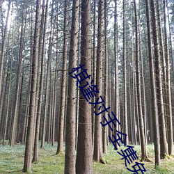 棋逢(逢)对(對)手(手)全集(集)免费高清在(在)线