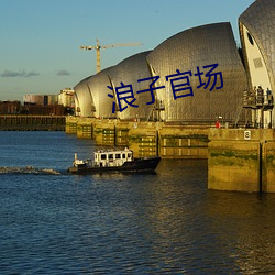 浪子政界 （堆山积海）