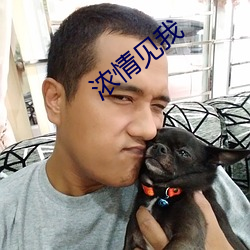 浓情见我