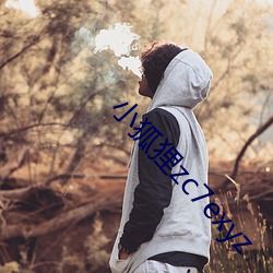 小狐狸zc7exyz 执迷不返）