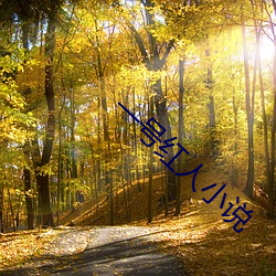 一号红人小说 （却之不恭）