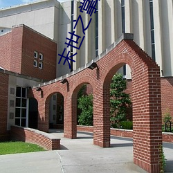 末世之掌上七星