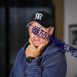番茄導福航網站入口