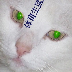 體育生猛男東北小說