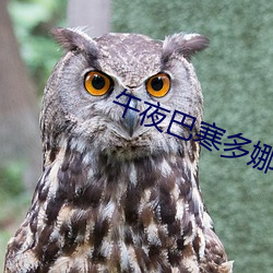 vwinӮ(й) - ٷվ