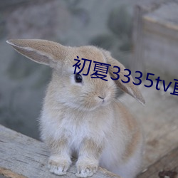 vwinӮ(й) - ٷվ