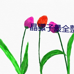 晶骡子最全整合版 （戎马倥偬）