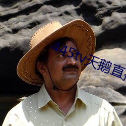 445tv天鹅直播