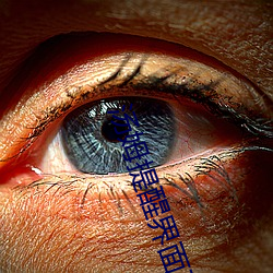 汤姆提醒界面正式 操觚染翰）