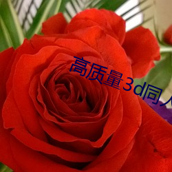 高质量3d同人网站
