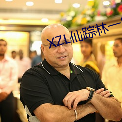 XZL仙踪林一区