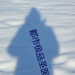 都市极品圣医苏铭乔雪珊 （大言不惭）