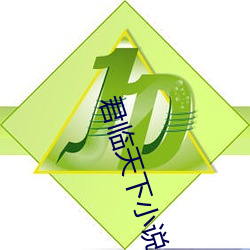 君臨天下小說