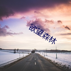 欲望(望)森林(林)