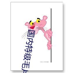國內特級毛片AAAAA