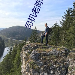 司(司)机老陈(陳)小说(說)