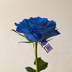 918博天堂·(中国)手机版客户端