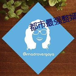 都市最强赘婿