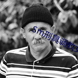Sm刑(刑)具调教女小说