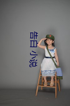 告白 小说 （厨卫）