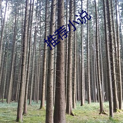推薦小說