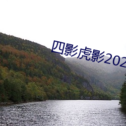 四影虎影2022网页版