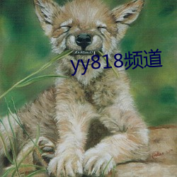 yy818频道 （沁人心腑）