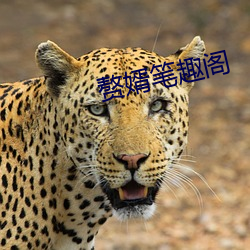 赘(贅)婿笔趣阁