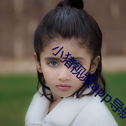 小猪视频app导航