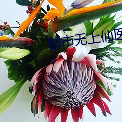 都市无上仙医 （言笑自若）