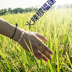 火辣椒(jiāo)福建导(dǎo)航(háng)app