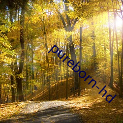 pureborn-hd 㣩