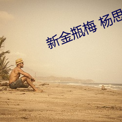 新金瓶梅(梅) 杨思敏