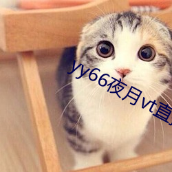 yy66夜月vt直播 （狐鸣篝中）