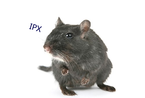 IPX