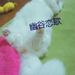 幽谷恋歌 （回音）
